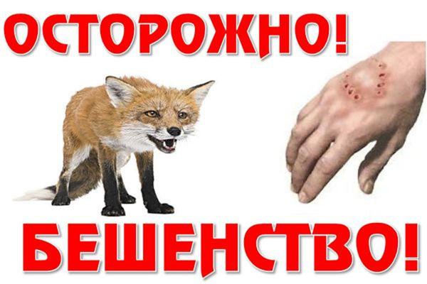 Важное о бешенстве!